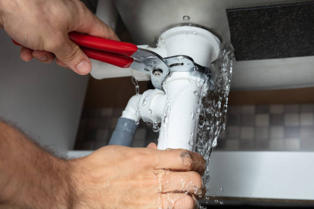 Best Mold removal after water damage  in Magnolia, TX