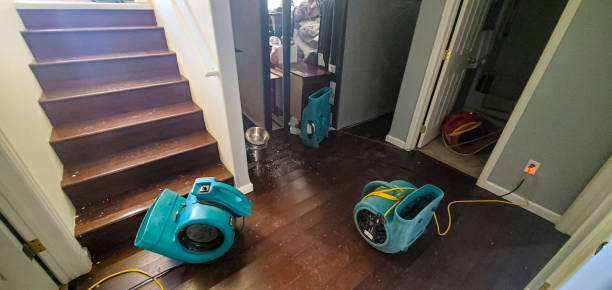 Best Sewage cleanup and water damage restoration  in Magnolia, TX