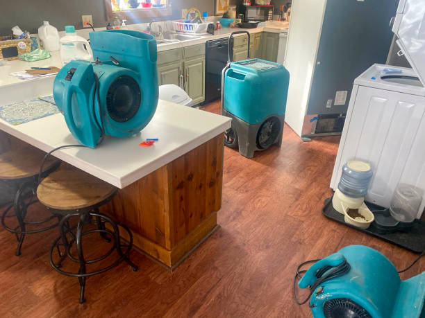 Best Water damage cleanup near me  in Magnolia, TX