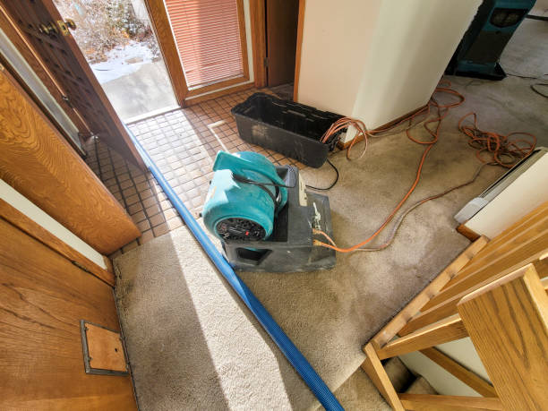 Best Basement water damage restoration  in Magnolia, TX