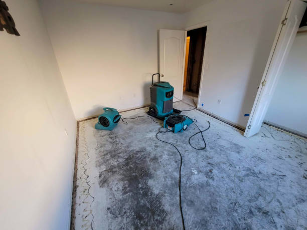 Best Ceiling water damage repair  in Magnolia, TX
