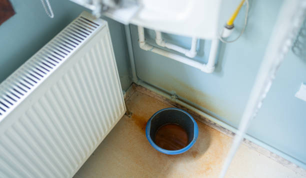 Best Water damage restoration near me  in Magnolia, TX